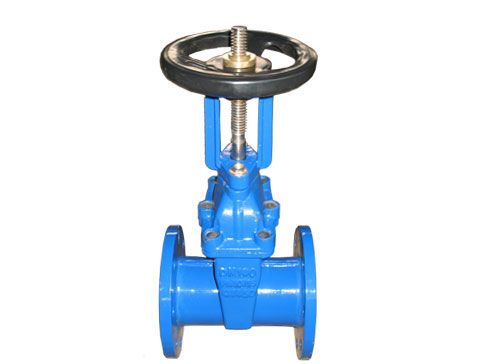 RRHX/Z41X-16明桿彈性座封閘閥